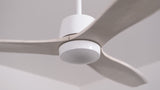 Arbor Ceiling Fan