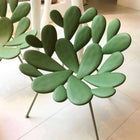 Filicudi Indoor/Outdoor Lounge Chair