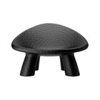 Kaya Indoor/Outdoor Lounge Chair