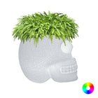 Mexico Planter/Champagne Cooler with LED Light