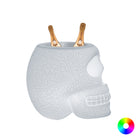 Mexico Planter/Champagne Cooler with LED Light