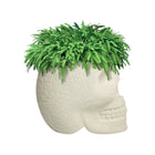 Mexico Planter/Champagne Cooler