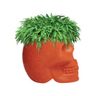 Mexico Planter/Champagne Cooler