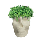 Mexico Planter/Champagne Cooler