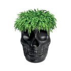 Mexico Planter/Champagne Cooler