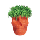 Mexico Planter/Champagne Cooler