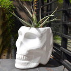 Mexico Planter/Champagne Cooler