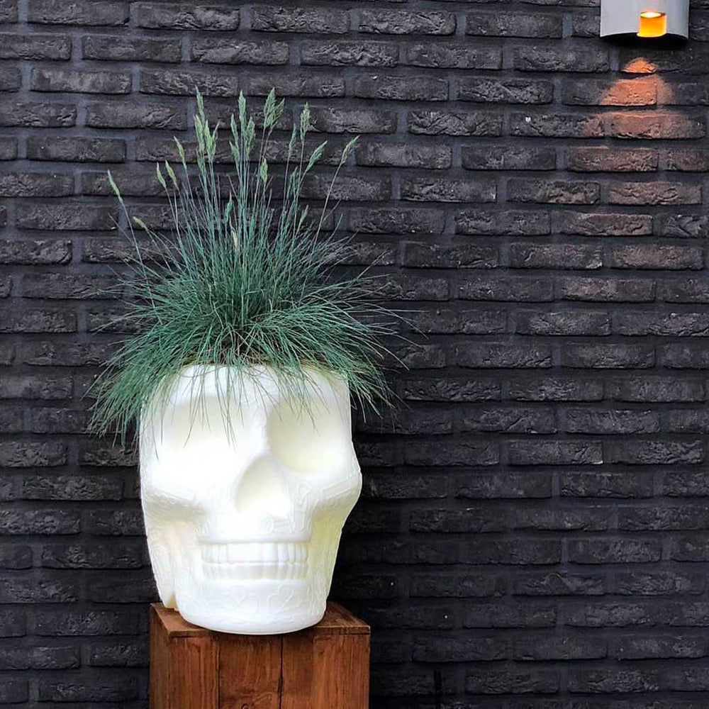 Mexico Planter/Champagne Cooler