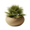 Nami Mix Planter  option Golden Sand Mix
