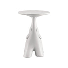 Pako Indoor/Outdoor Side Table