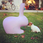 Rabbit Indoor/Outdoor Stool