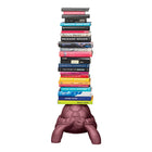 Turtle Carry Bookcase