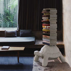Turtle Carry Bookcase