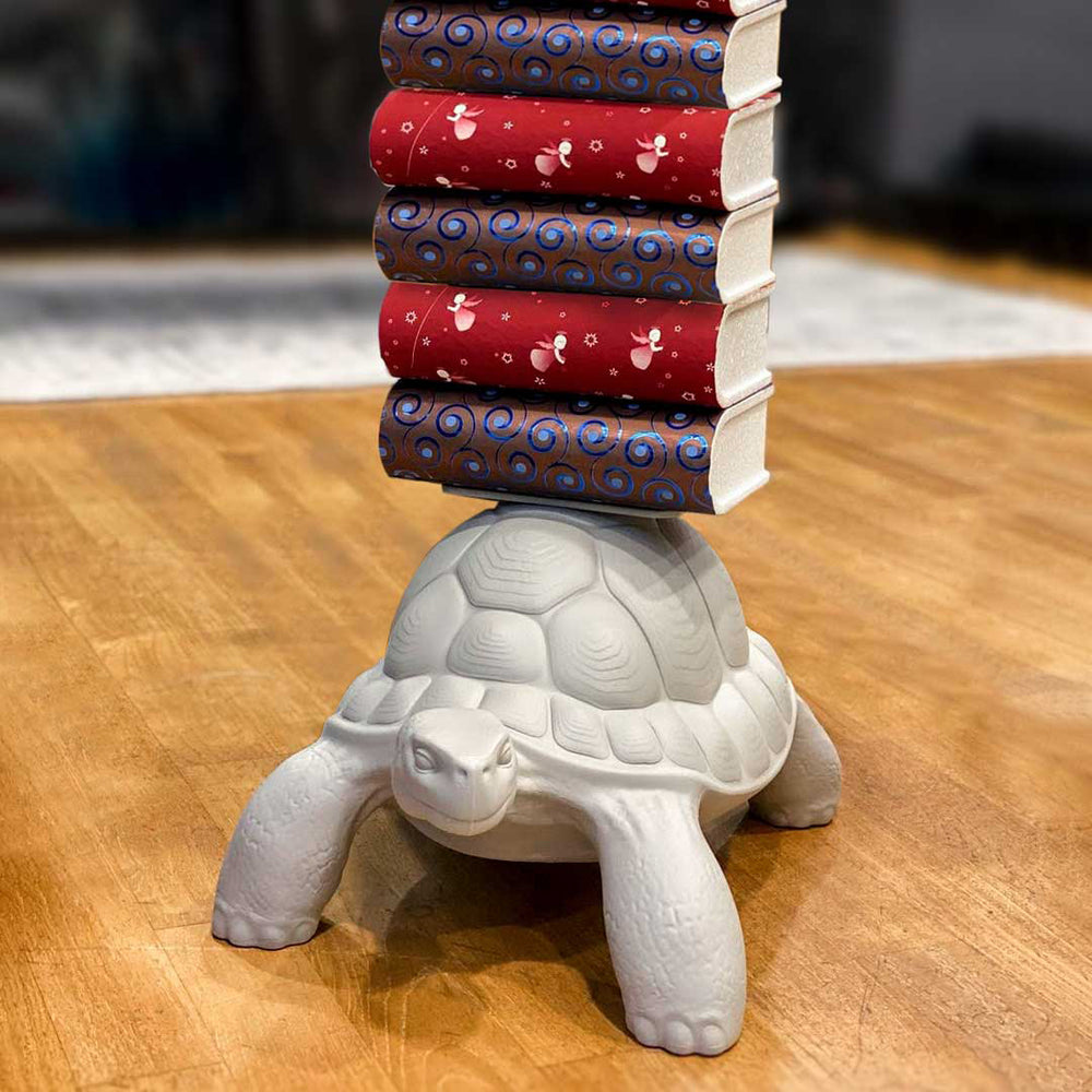 Turtle Carry Bookcase
