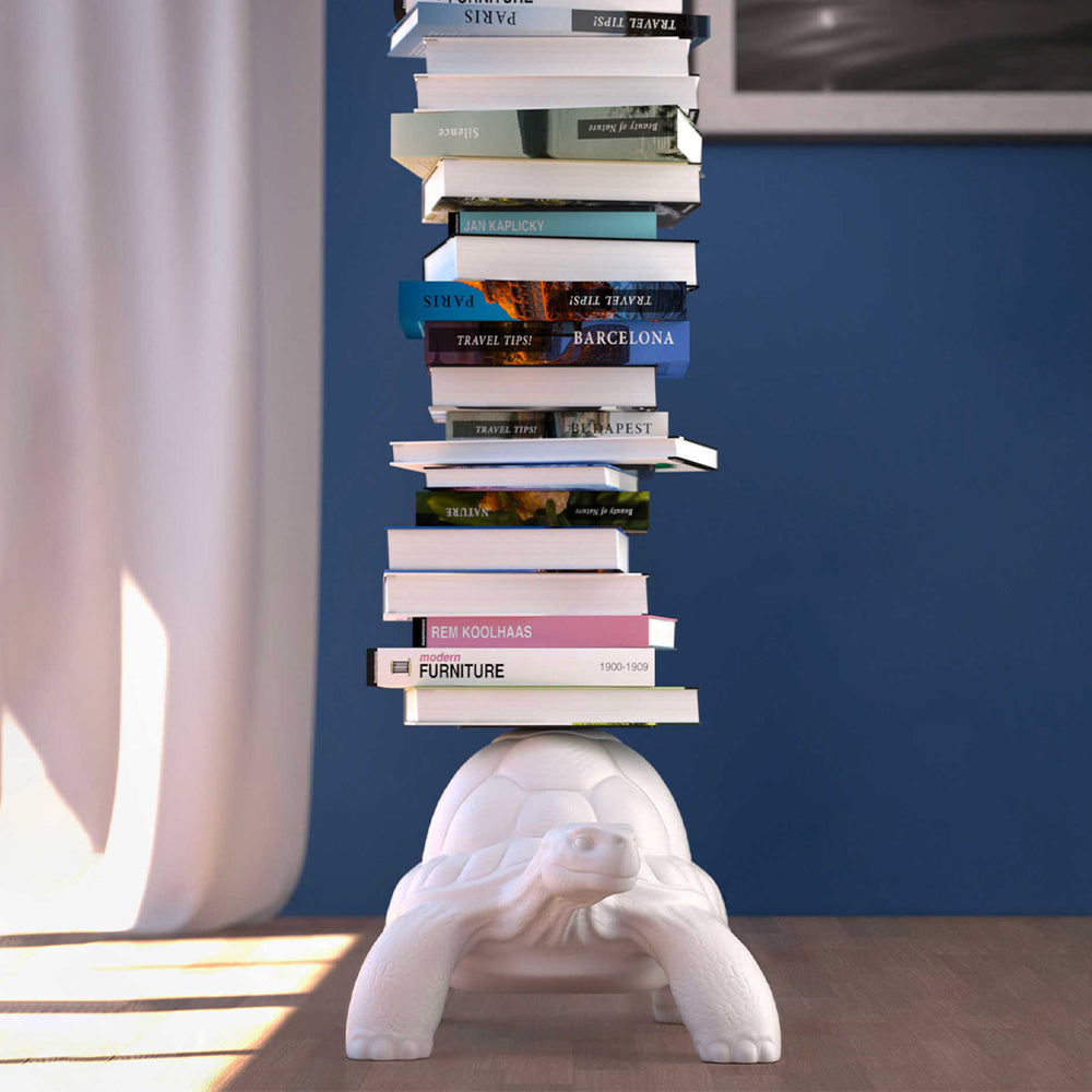 Turtle Carry Bookcase