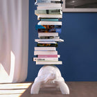 Turtle Carry Bookcase