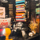 Turtle Carry Bookcase