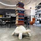 Turtle Carry Bookcase