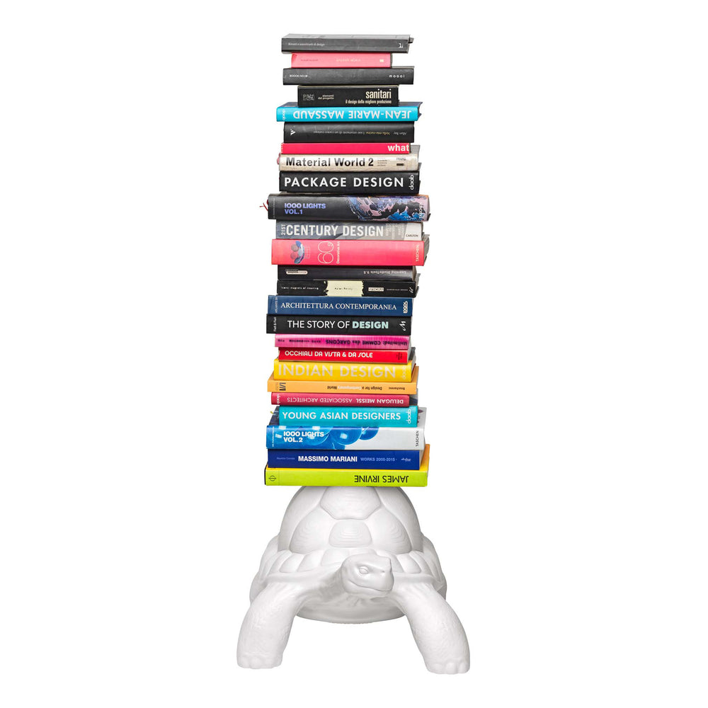 Turtle Carry Bookcase