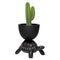 Turtle Carry Indoor/Outdoor Planter/Champagne Cooler  option Black