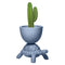 Turtle Carry Indoor/Outdoor Planter/Champagne Cooler  option Blue Avio