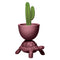 Turtle Carry Indoor/Outdoor Planter/Champagne Cooler  option Indian Red
