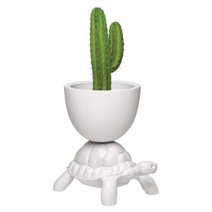 Turtle Carry Indoor/Outdoor Planter/Champagne Cooler