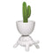 Turtle Carry Indoor/Outdoor Planter/Champagne Cooler  option White