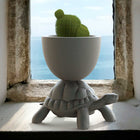 Turtle Carry Indoor/Outdoor Planter/Champagne Cooler