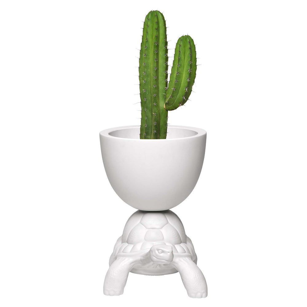 Turtle Carry Indoor/Outdoor Planter/Champagne Cooler