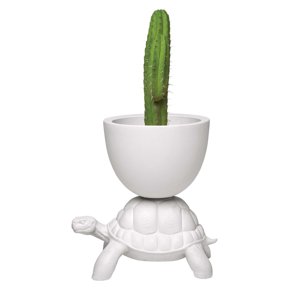 Turtle Carry Indoor/Outdoor Planter/Champagne Cooler