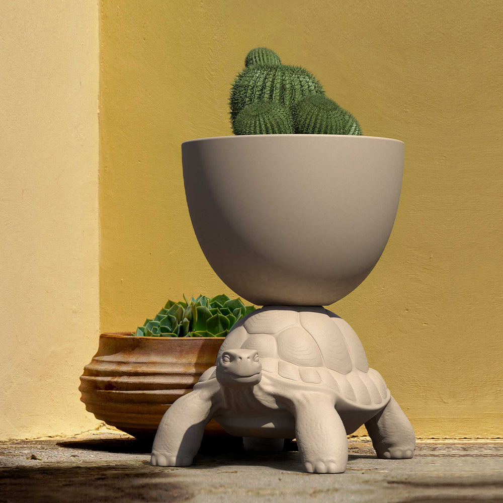 Turtle Carry Indoor/Outdoor Planter/Champagne Cooler