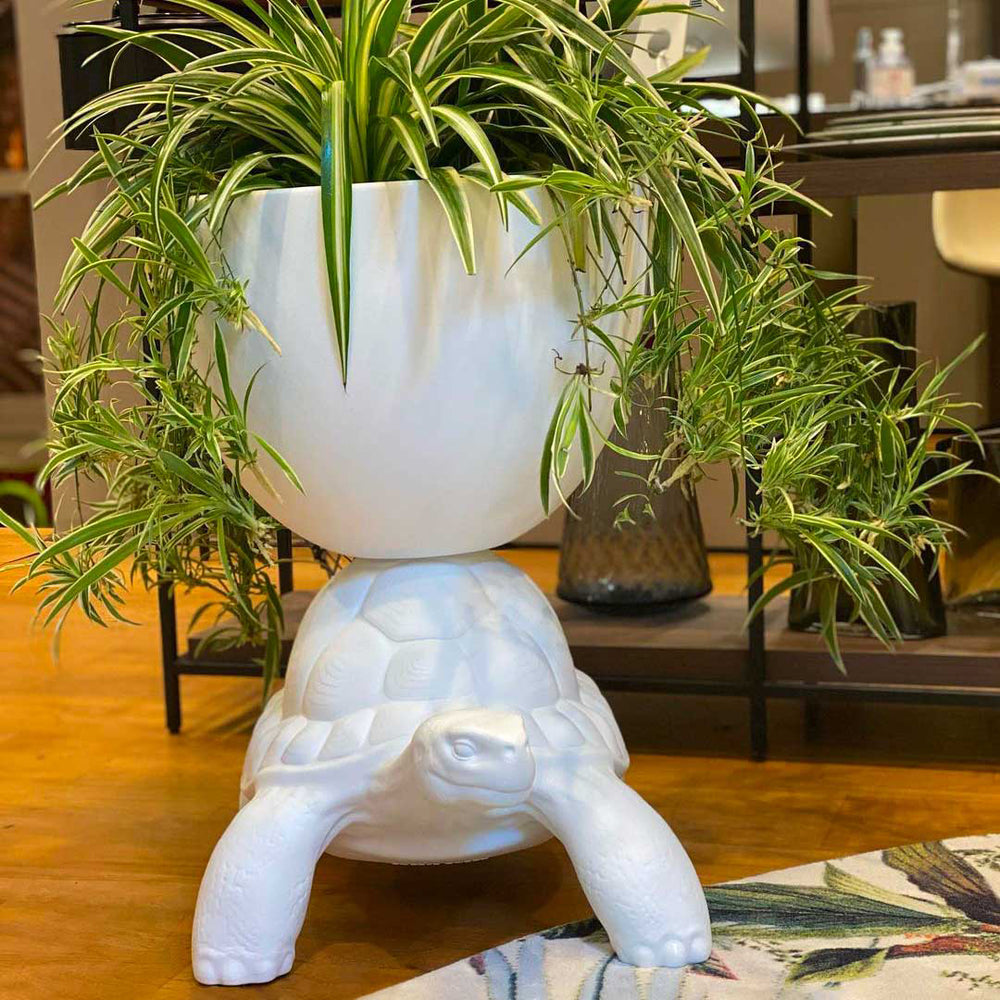 Turtle Carry Indoor/Outdoor Planter/Champagne Cooler
