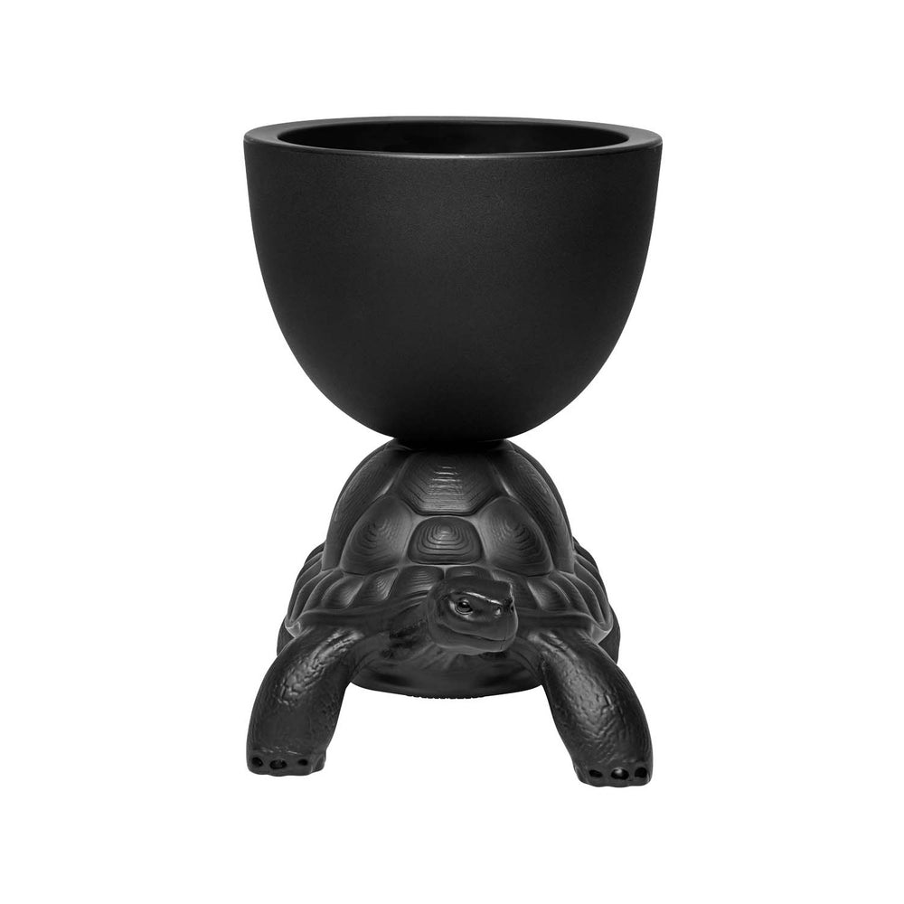 Turtle Carry Indoor/Outdoor Planter/Champagne Cooler