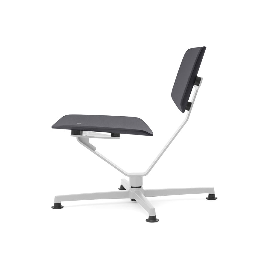 Arba Lounge Chair