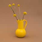 Strom Jug