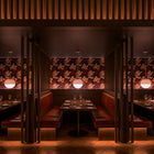 Akoya LED Pendant Light
