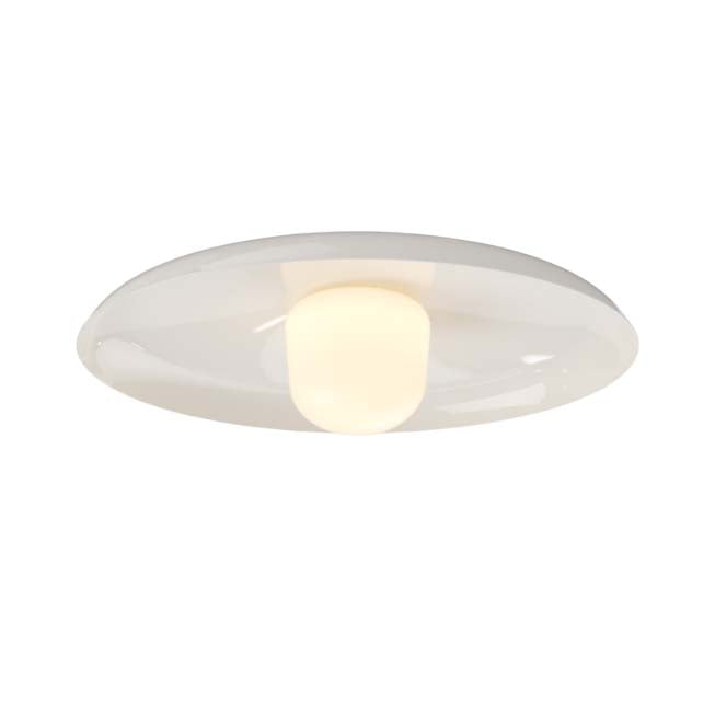 Hoist Outdoor LED Flush Mount