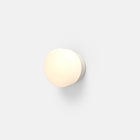 Pastille Collar Outdoor LED Wall Sconce