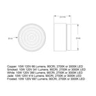 Ripple Outdoor LED Flush Mount