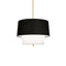 Decker Pendant Light  option Raven Black / White