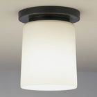 Rico Espinet Nina Flush Mount