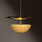 Laddi Star Body LED Pendant Light