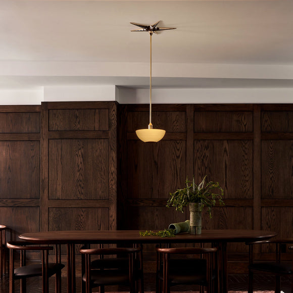 Laddi Star Canopy LED Pendant Light