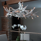Superordinate Antler LED Chandelier