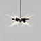 Astral Agnes LED Chandelier  option Black