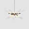 Astral Agnes LED Chandelier  option Polished Nickel