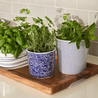 1815 Pacific Large Planter