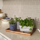 1815 Pacific Large Planter