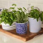 1815 Pacific Small Planter